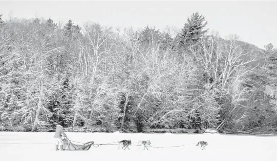  ?? ERIK FREELAND/THE NEW YORK TIMES PHOTOS ?? Dog-sledding Jan. 28 across the snowy white canvas of Lake Umbagog in southern Maine.