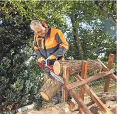  ?? FOTO: CLAUDIO KALEX/DPA ?? Eine gute Kettensäge sollte akkurat und schnell schneiden sowie bei der Akkuleistu­ng überzeugen.