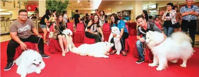  ?? GALIH COKRO/JAWA POS ?? PELIHARAAN TERSAYANG: Dari kiri, Bobby Haryanto, Devina Bee, Chica Ariyanti, Lailatul Fitriyah, dan Budi Nata bersama anjing samoyed di PTC.