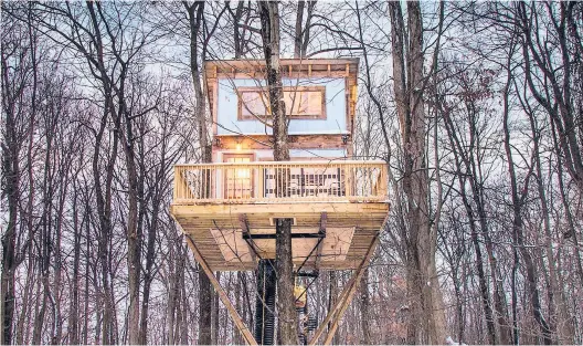  ?? CHRIS MCLELLAND PHOTOS ?? The Tin Shed treehouse at the Mohicans Treehouse Resort and Wedding Venue in Glenmont, Ohio.