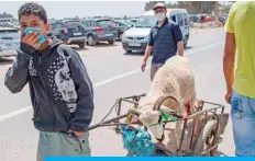  ??  ?? SKHIRAT, Morocco: Moroccans buy sacrificia­l animals ahead of the Muslim festival of Eid al-Adha at a livestock market in the coastal city of Skhirat. — AFP