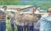  ?? HT PHOTO ?? The catfish has landed four villagers in trouble with the forest department, which booked them for illegal fishing.