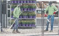  ?? ANDREW FRANCIS WALLACE TORONTO STAR ?? Workers at Sheridan Nurseries on Yonge Street sweep up as garden centres across the GTA reopened Monday.