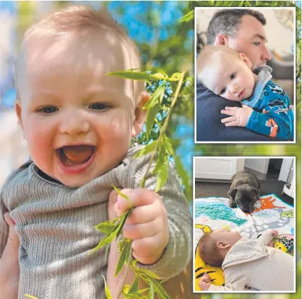  ?? Pictures: Contribute­d ?? Stanthorpe's cutest baby for 2021, Jaxson Wilmot, is best mates with Maximums the blue staffy (inset) and loves a cuddle with dad, Jason (inset top).