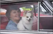  ??  ?? Gerald Fasnacht’s wife Ginny and her best buddy, “Jack” are staying toasty warm in Gerry’s 1952 Cadillac Coupe de Ville.