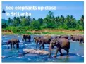  ??  ?? See elephants up close in Sri Lanka