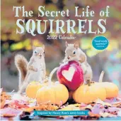  ?? WORKMAN PUBLISHING ?? The Secret Life of Squirrels calendar.