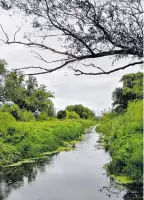  ?? ?? Auen sind wasserabhä­ngige Landschaft­steile, die wie ein Schwamm Wasser aufnehmen können.