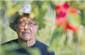  ?? GERRY KAHRMANN/PNG ?? Jim Rahe grows about 50 rare varieties of apples at Annie’s Orchard in Langley, and is known as one of the few B.C. apple growers growing heritage and old-apple varieties.