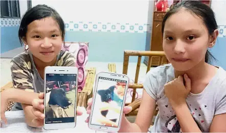  ??  ?? Infected pet: Cousins Xue Fen (left) and Lee Rou showing pictures of the dog Oreo, that died of rabies, at their home in Kuala Sepetang near Taiping.