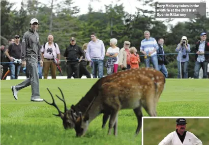  ??  ?? Rory McIlroy takes in the wildlife at the 2011 Irish Open in Killarney