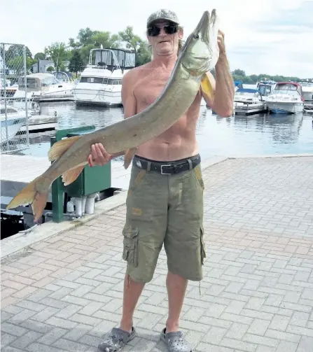  ?? SUBMITTED PHOTO ?? Few may realize how big the fish can get in Little Lake. Douglas Priemski shows off the 41-pound muskie he caught on Little Lake on Tuesday around noon. The fish measured between 54-55 inches in length with a girth of 25 inches. He was caught using a...