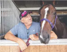  ?? Picture: AAP IMAGE ?? Trainer Rob Heathcote with galloper Rothfire.