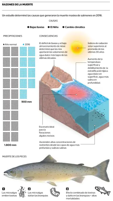  ?? INFOGRAFIA: Francisco Solorio • LA TERCERA ?? FUENTE: Ideal / Incar / U. de Concepción / CR2