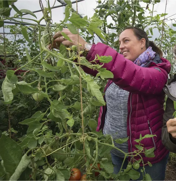 ??  ?? I EGET TEMPO. Alexandra Korn och Liselotte Abel plockar grönsaker från växthuset på gården. En stor del av behandling­en går ut på att vara i en miljö som