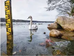  ?? Ein Pegel ragt viel zu weit aus dem Straussee. Foto: dpa/Patrick Pleul ??