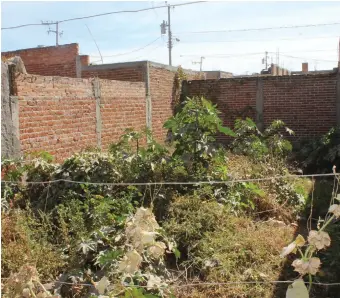  ??  ?? Los lotes baldíos son focos de infección por la basura y escombro que se deja en estos, además de que son incendiado­s.