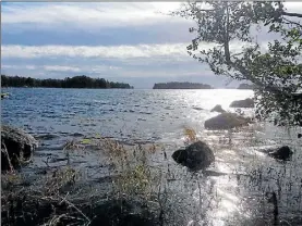  ?? Foto: Egil grEEn ?? HöGVattEN. Fyra stormar drog in över Borgåregio­nen mot slutet av september. Den sista stormen kom natten till den 30.9. med högt vatten och kraftig vindar.