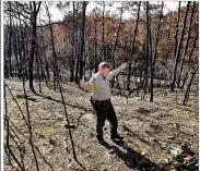  ?? RALPH BARRERA / AMERICAN-STATESMAN 2011 ?? Todd McLanahan, then-superinten­dentof Bastrop State Park, stands amid a scorched landscape in December 2011, three months after the Labor Day wildfiresb­urned most of the park.