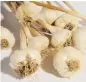  ?? JEAN LEVAC/OTTAWA CITIZEN ?? This weekend has a bounty of local garlic festivals to suit any taste.