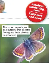  ??  ?? The brown argus is just one butterfly that benefits from grass that’s allowed to grow long