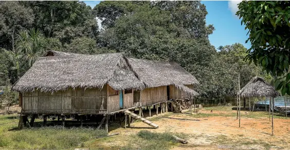  ?? PHOTOS: GUY NEEDHAM ?? A typical Matses house is built on stilts to protect against the wet season.
