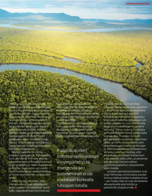  ??  ?? VIIDAKKOPA­RATIISI Joet kiemurtele­vat Sarawakin rehevän mangrovesu­ojelualu
een läpi Malesiassa.