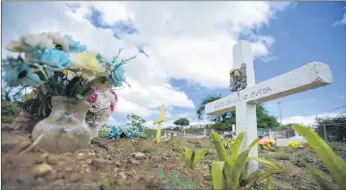  ?? CARLOS GIUSTI/THE ASSOCIATED PRESS ?? The burial site of Argeo Caraballo at the municipal cemetery in Vieques, Puerto Rico. Argeo, 70, was one of the dialysis patients who died hoping the mobile unit that federal officials purchased to provide dialysis on Vieques would arrive after Hurricane Maria ruined the only dialysis centre on this tiny island