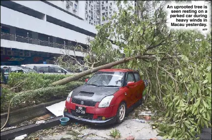  ?? AFP ?? An uprooted tree is seen resting on a parked car during heavy winds in Macau yesterday.