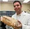  ?? PHOTO: DOMINICO ZAPATA/STUFF ?? Dr Aydin Berenjian is using unsold bread to create a new loaf.