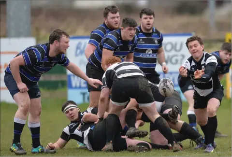  ??  ?? Action from the Dundalk v Wexford Wanderers Towns Cup clash last weekend.