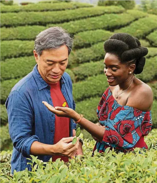  ?? Foto: RedLion ?? Bildgewalt­ige Filmromanz­e: Kai, gespielt von Han Chang, zeigt Aya, gespielt von Nina Mélo, die Teeplantag­en seiner Heimat.