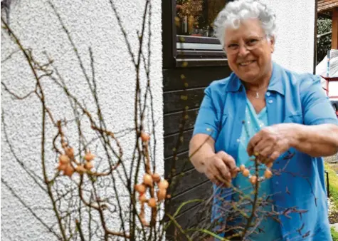  ?? Fotos: Andrea Collisi ?? Im Garten am Strauch oder in der Vase im Haus hängt Edeltraud Fischer „Wintervert­reiberle“, für die sie kleine Steckzwieb­elkränze mit Silberdrah­t und mit Perlen her‰ stellt.