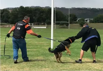  ?? Photo: Yolandé Stander ?? Blackie, the canine support for the Plettenber­g Bay Crime Prevention Associatio­n, showed off his skills during a demonstrat­ion at the Bitou Rugby Club on 24 January.