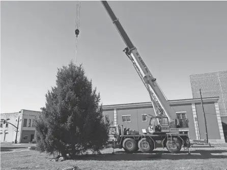 ?? LEONARD HAYHURST/TRIBUNE ?? William Albert Excavating places a 25-foot spruce Nov. 10 at Main and Sixth streets in Coshocton. It was donated to Our Town Coshocton as a community Christmas trees but has been the subject of vandalism.