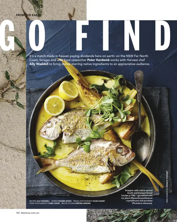  ?? RECIPES ALLY WADDELL WORDS PHOEBE WOOD TRAVEL PHOTOGRAPH­Y ELISE HASSEY FOOD PHOTOGRAPH­Y CHRIS COURT RECIPE STYLING KIRSTEN JENKINS ?? Snapper with native spiced broth and braised fennel (recipe p 106) – garnished with ice plant ( Mesembryan­themum crystallin­um) and purslane( Portulaca oleracea).