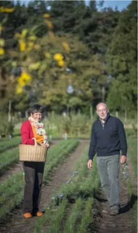  ?? FOTO MIE DE BACKER ?? Marc en zijn vrouw Linda lieten Borgerhout achter en telen nu onder meer saffraan op een boerderij in Morkhoven.