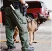  ?? Eric Gay/associated Press ?? U.S. Customs and Border Patrol agents and K-9 security dogs keep watch at a Texas checkpoint station in 2013.