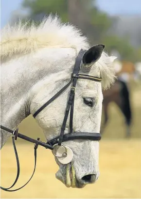  ?? GETTY IMAGES ?? Tras matar al soldado, el joven protagonis­ta se lleva su caballo blanco