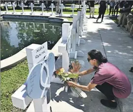  ?? Wally Skalij Los Angeles Times ?? A MOURNER places f lowers at a memorial for victims of the mass shooting in Uvalde, Texas. Gun rights advocates have fought restrictio­ns despite such killings.