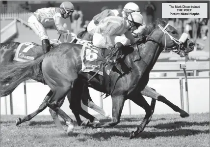  ?? Picture: Nkosi Hlophe ?? The Mark Dixon-trained THE POET.