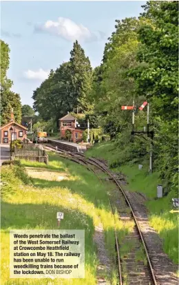  ?? DON BISHOP ?? Weeds penetrate the ballast of the West Somerset Railway at Crowcombe Heathfield station on May 18. The railway has been unable to run weedkillin­g trains because of the lockdown.