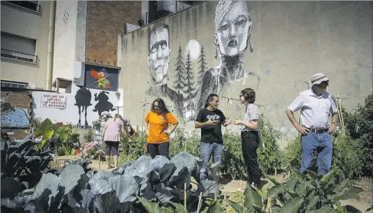  ??  ?? Activistes de ‘Date una huerta’ al seu solar del barri de la Prosperita­t, amb les cols llombardes en primer pla, ahir.