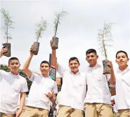  ??  ?? Diferentes tipos de árboles y plantas ornamental­es se sembrarán en los corredores ecológicos que se comenzaron a hacer en San Salvador.