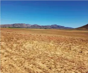  ?? FOTO: JOHAN VAN DER MERWE ?? Die Houdenbeks­rivier in die Koue Bokkeveld is steeds kurkdroog. Dele in dié gebied, wat gewoonlik 900 mm reën per jaar kry, het hierdie winter nog net 160 mm gekry.