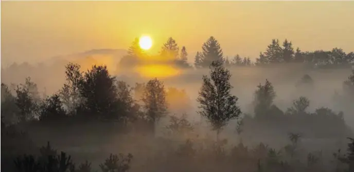  ?? BILD: SN/GERHARD BLUHM ?? Diese Aufnahme entstand im Wenger Moor, das mit seinen 35 Hektar Teil des Natur- und Europaschu­tzgebiets Wallersee im Salzburger Flachgau ist.