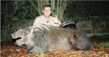  ??  ?? DP Bierman with the bushpig that changed his life. Known as Knoppe, this pig weighed 107kg and had 6.25” tusks.