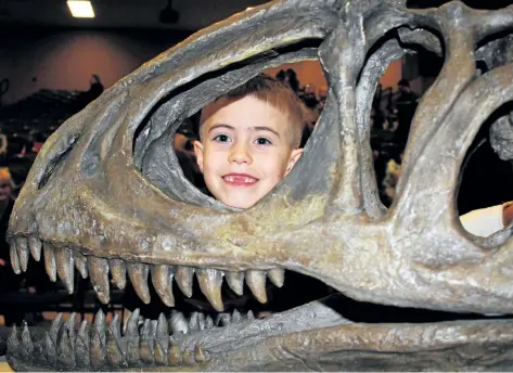  ?? ALLAN BENNER/TRIBUNE STAFF ?? Colton Detlor, 7, looks through the skull of a dinosaur during Family Day celebratio­ns at Welland Community Wellness Complex on Monday.