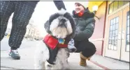  ?? Alex von Kleydorff / Hearst Connecticu­t Media ?? Freezing temperatur­es didnt stop Kaitlyn and Joey Lafferty from taking their Shih Tzu Seamus for a walk in his doggie coat in Norwalk on Dec. 26.