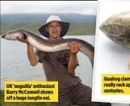  ??  ?? UK ‘anguilla’ enthusiast Barry McConnell shows off a huge longfin eel.